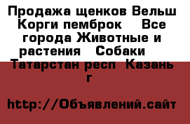 Продажа щенков Вельш Корги пемброк  - Все города Животные и растения » Собаки   . Татарстан респ.,Казань г.